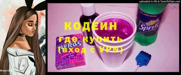 индика Верея