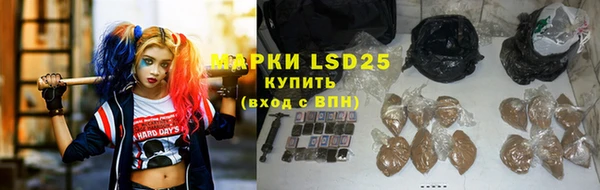 индика Верея