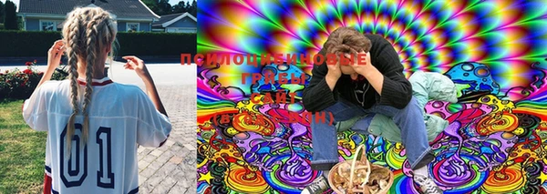 индика Верея