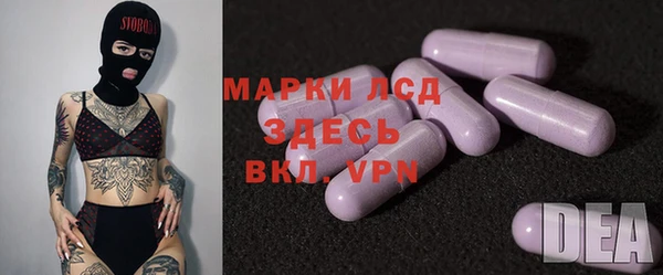 индика Верея