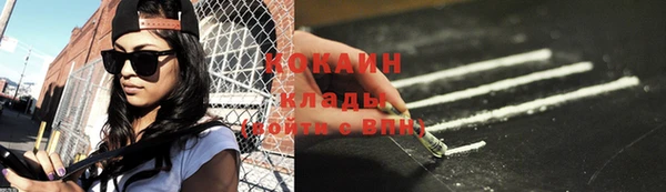 индика Верея