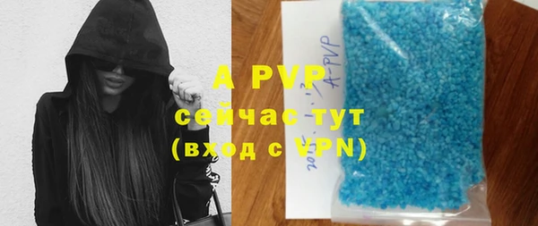 индика Верея