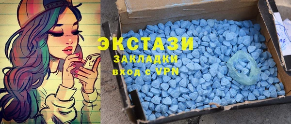 индика Верея