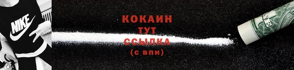 индика Верея