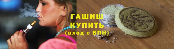 индика Верея