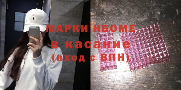 индика Верея