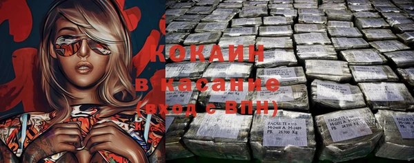 индика Верея