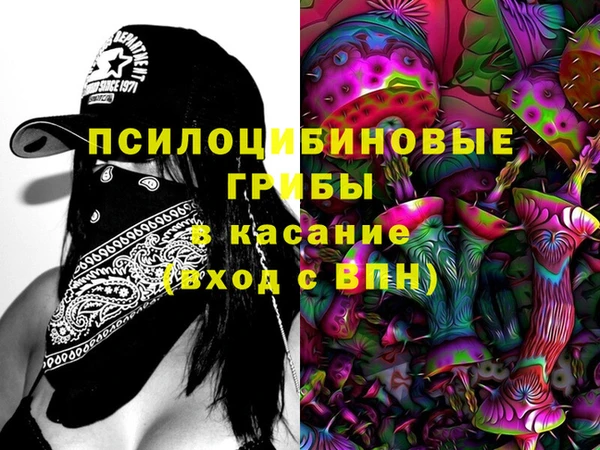 индика Верея