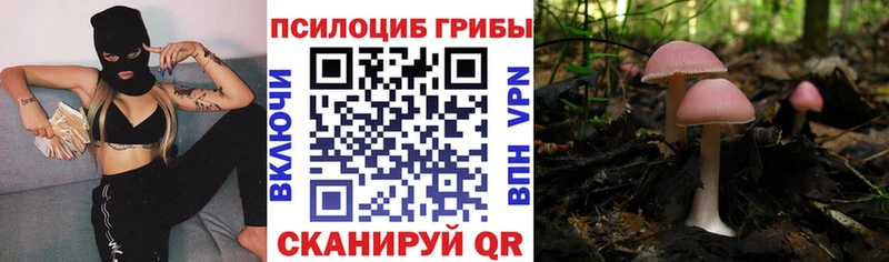 Галлюциногенные грибы Psilocybine cubensis  Кириллов 